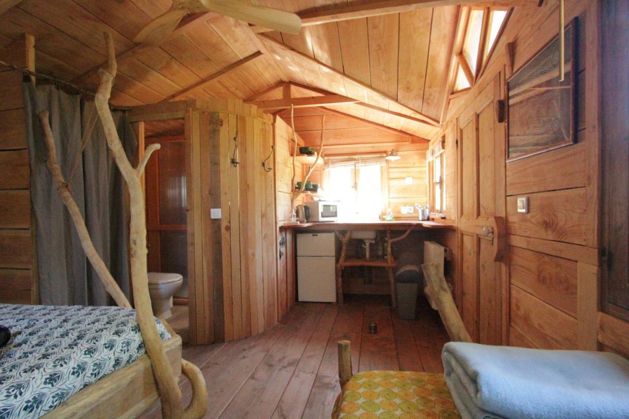 Le Pavillon Vert - B&B Vedène Zewnętrze zdjęcie