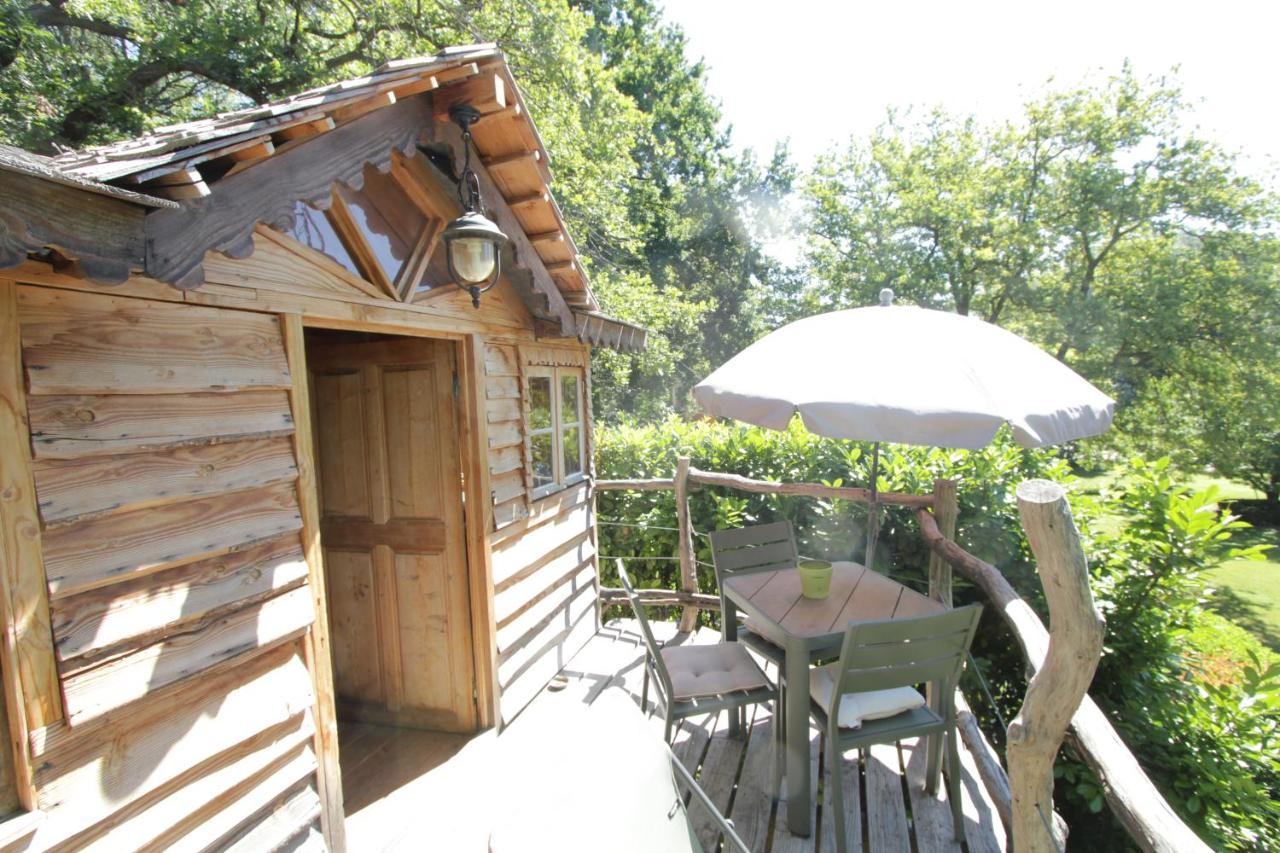 Le Pavillon Vert - B&B Vedène Zewnętrze zdjęcie